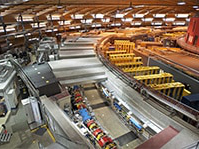 ʱֲTIMING DISTRIBUTION